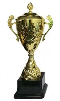Cup Trophy 3.1 (51cm, 45.5cm, 41cm)